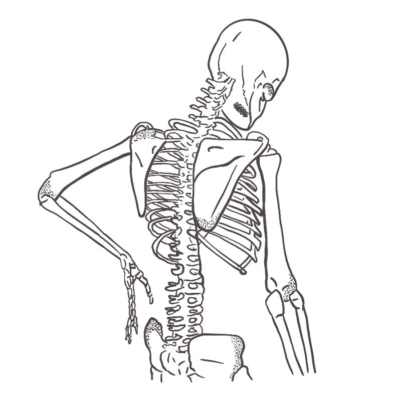 Back pain relief