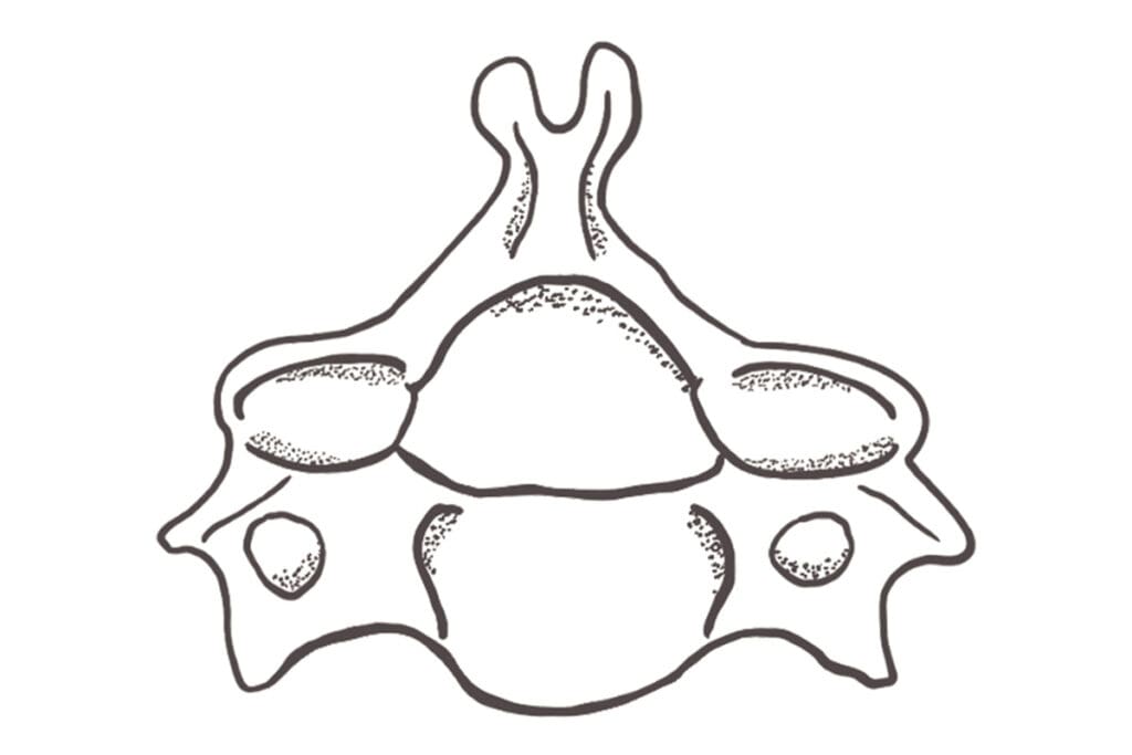 Chiropractic care in Diss, Norfolk