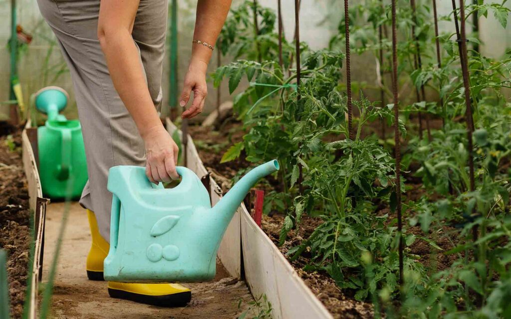 How to garden when you have back pain How to garden when you have back pain by Rob Bailey from Diss Chiropractic Clinic